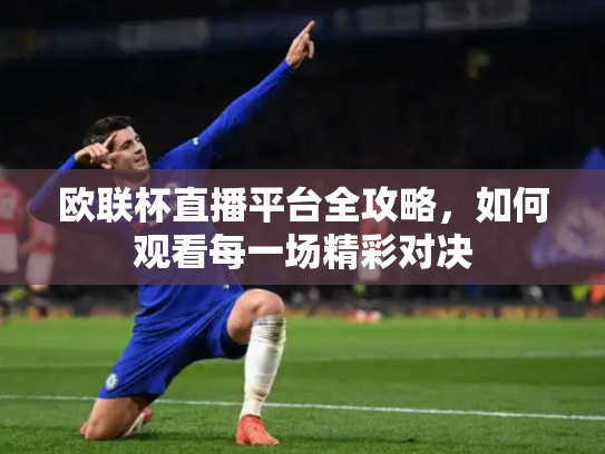 欧联杯直播平台全攻略，如何观看每一场精彩对决
