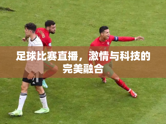 足球比赛直播，激情与科技的完美融合