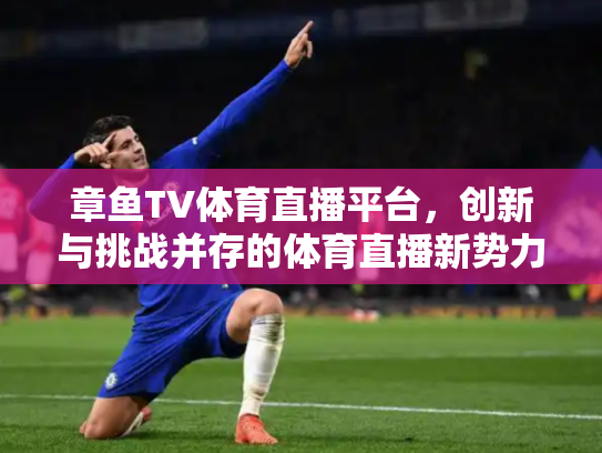 章鱼TV体育直播平台，创新与挑战并存的体育直播新势力