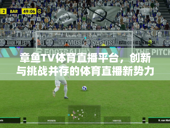 章鱼TV体育直播平台，创新与挑战并存的体育直播新势力