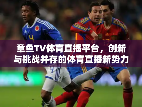 章鱼TV体育直播平台，创新与挑战并存的体育直播新势力