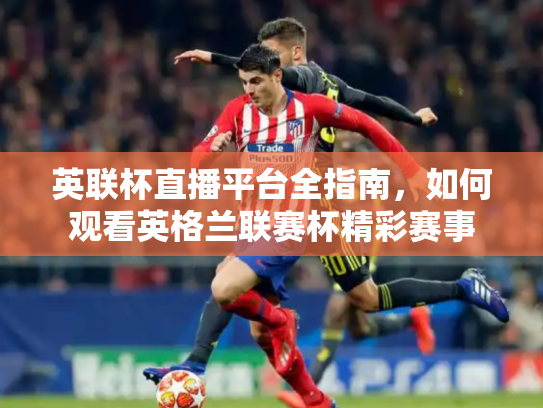 英联杯直播平台全指南，如何观看英格兰联赛杯精彩赛事