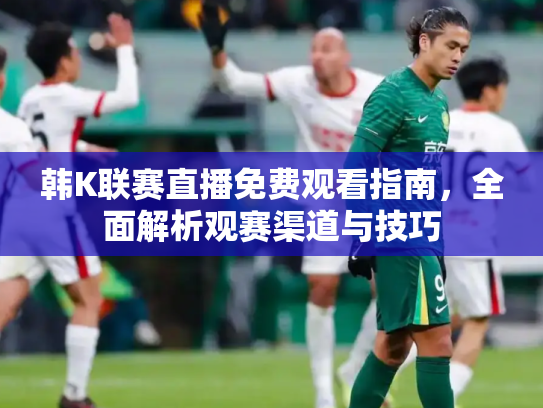 韩K联赛直播免费观看指南，全面解析观赛渠道与技巧