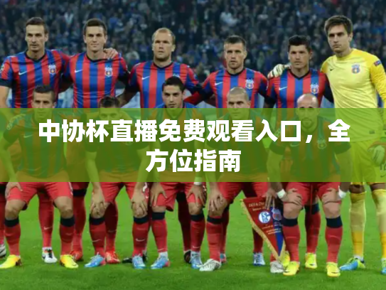 中协杯直播免费观看入口，全方位指南