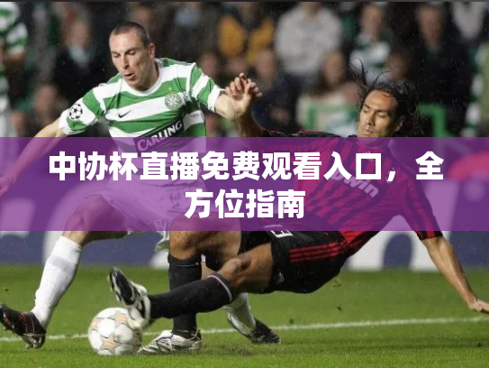 中协杯直播免费观看入口，全方位指南