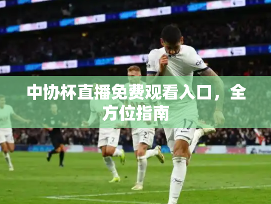 中协杯直播免费观看入口，全方位指南
