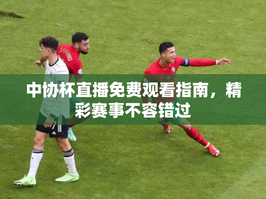 中协杯直播免费观看指南，精彩赛事不容错过