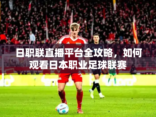 日职联直播平台全攻略，如何观看日本职业足球联赛