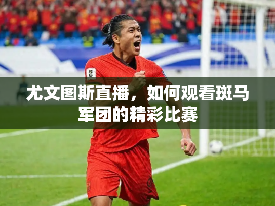 尤文图斯直播，如何观看斑马军团的精彩比赛