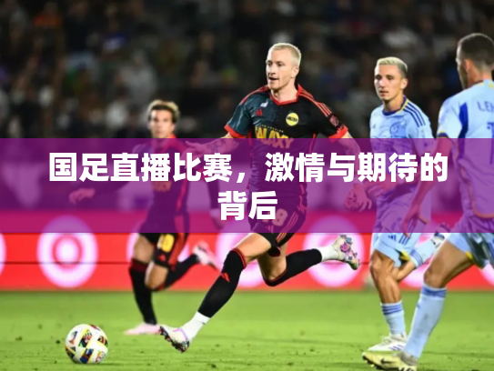 国足直播比赛，激情与期待的背后