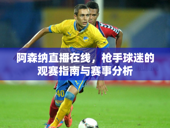阿森纳直播在线，枪手球迷的观赛指南与赛事分析