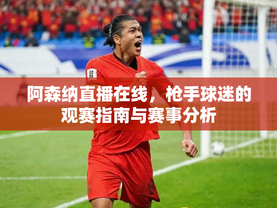 阿森纳直播在线，枪手球迷的观赛指南与赛事分析