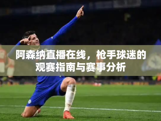 阿森纳直播在线，枪手球迷的观赛指南与赛事分析