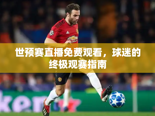世预赛直播免费观看，球迷的终极观赛指南