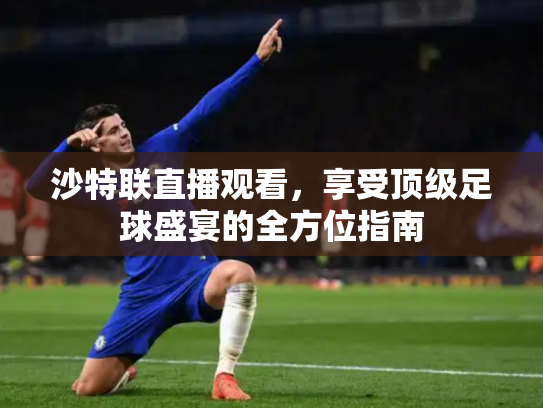 沙特联直播观看，享受顶级足球盛宴的全方位指南