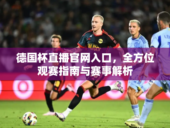 德国杯直播官网入口，全方位观赛指南与赛事解析