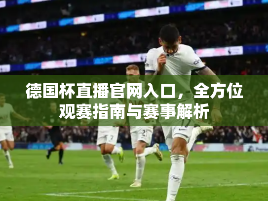 德国杯直播官网入口，全方位观赛指南与赛事解析