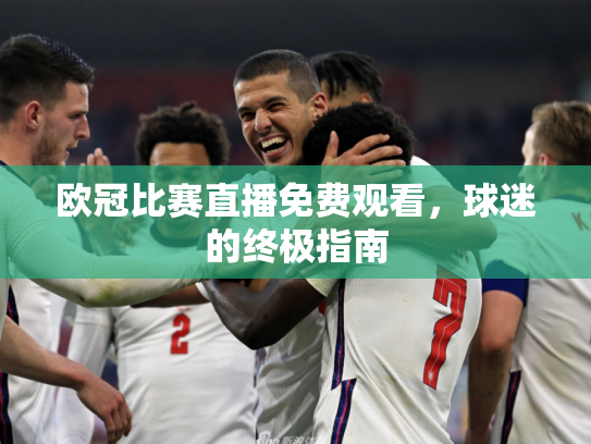 欧冠比赛直播免费观看，球迷的终极指南