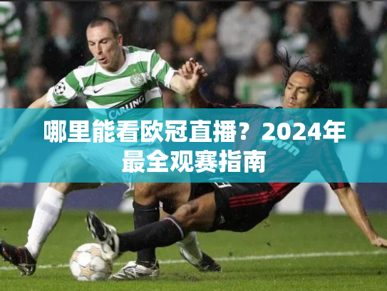 哪里能看欧冠直播？2024年最全观赛指南