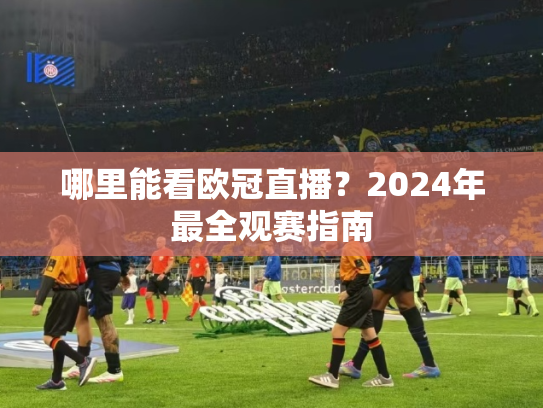 哪里能看欧冠直播？2024年最全观赛指南