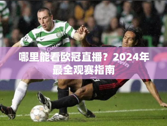 哪里能看欧冠直播？2024年最全观赛指南