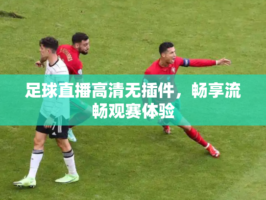 足球直播高清无插件，畅享流畅观赛体验