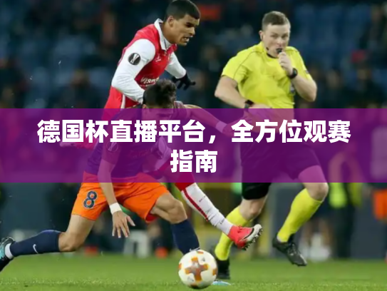 德国杯直播平台，全方位观赛指南