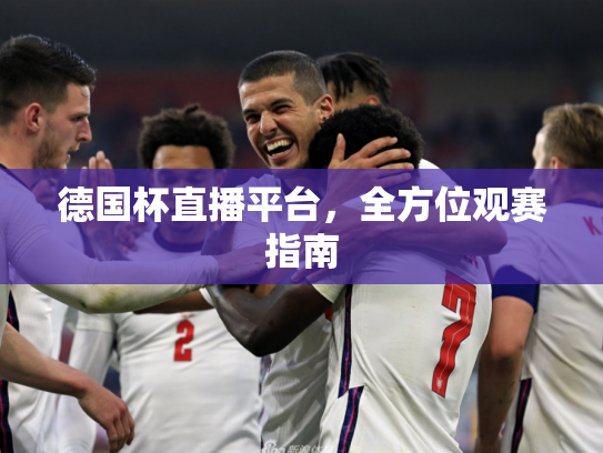 德国杯直播平台，全方位观赛指南