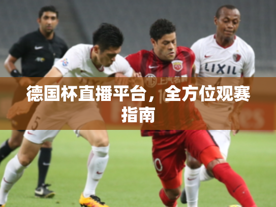 德国杯直播平台，全方位观赛指南