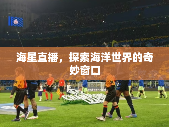 海星直播，探索海洋世界的奇妙窗口