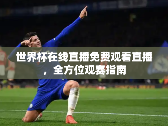 世界杯在线直播免费观看直播，全方位观赛指南