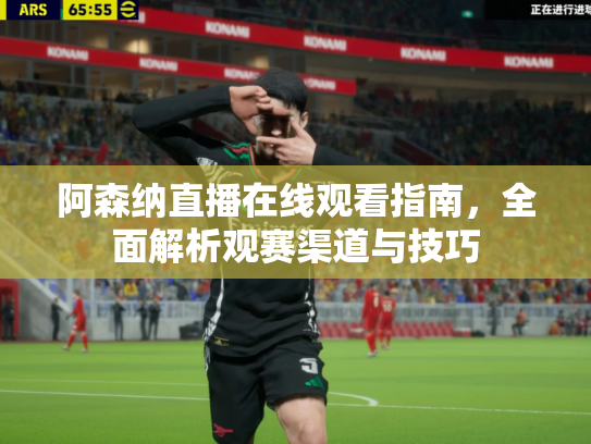 阿森纳直播在线观看指南，全面解析观赛渠道与技巧