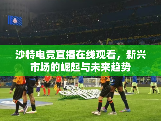 沙特电竞直播在线观看，新兴市场的崛起与未来趋势
