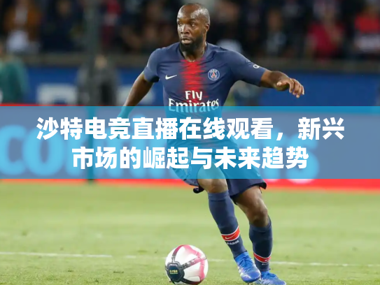 沙特电竞直播在线观看，新兴市场的崛起与未来趋势