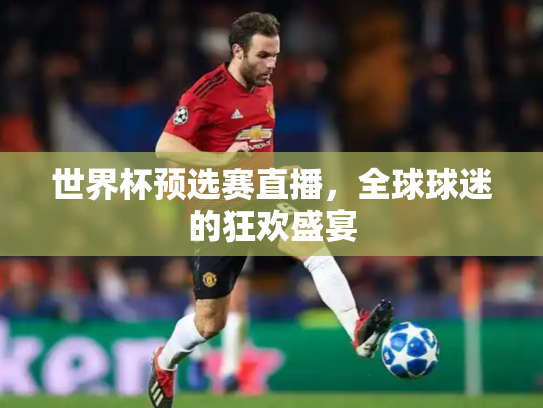 世界杯预选赛直播，全球球迷的狂欢盛宴
