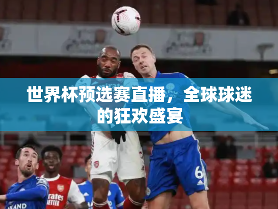 世界杯预选赛直播，全球球迷的狂欢盛宴