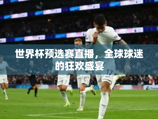 世界杯预选赛直播，全球球迷的狂欢盛宴