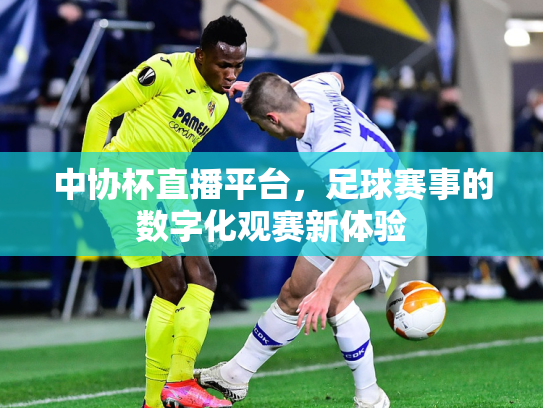 中协杯直播平台，足球赛事的数字化观赛新体验