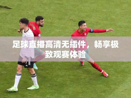 足球直播高清无插件，畅享极致观赛体验