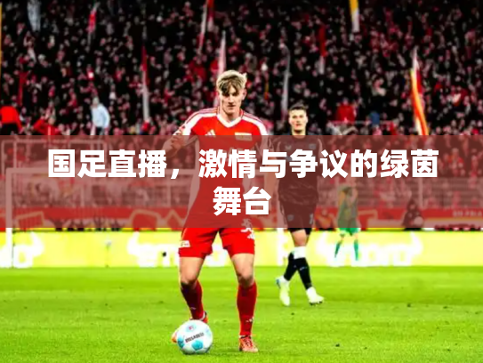 国足直播，激情与争议的绿茵舞台
