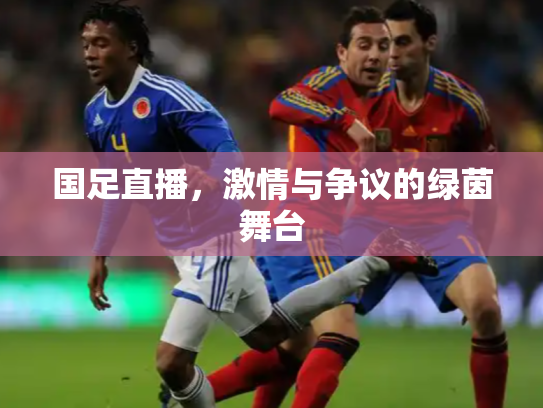 国足直播，激情与争议的绿茵舞台