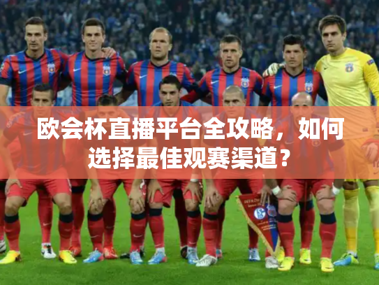 欧会杯直播平台全攻略，如何选择最佳观赛渠道？