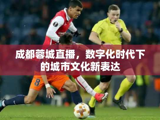 成都蓉城直播，数字化时代下的城市文化新表达