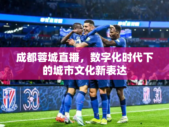 成都蓉城直播，数字化时代下的城市文化新表达