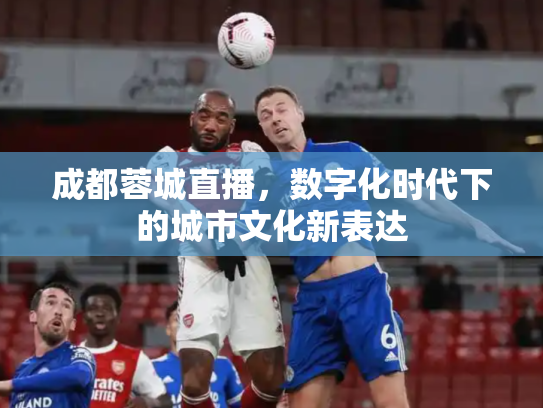 成都蓉城直播，数字化时代下的城市文化新表达