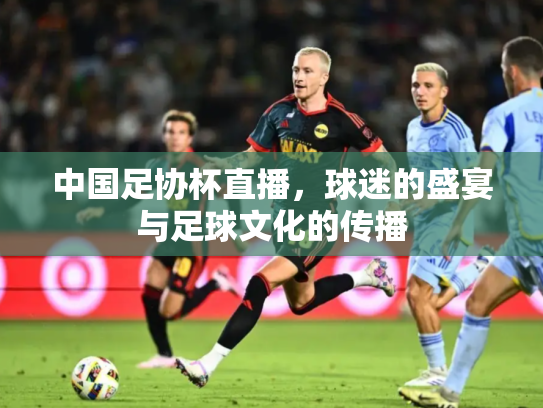 中国足协杯直播，球迷的盛宴与足球文化的传播