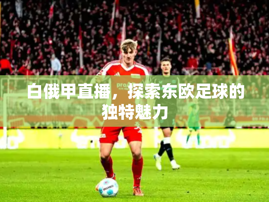 白俄甲直播，探索东欧足球的独特魅力