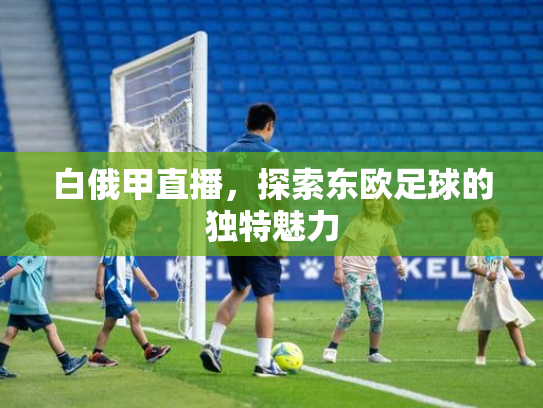 白俄甲直播，探索东欧足球的独特魅力