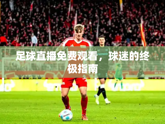足球直播免费观看，球迷的终极指南