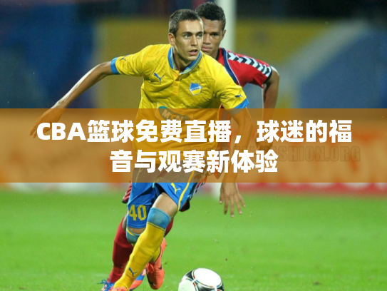 CBA篮球免费直播，球迷的福音与观赛新体验